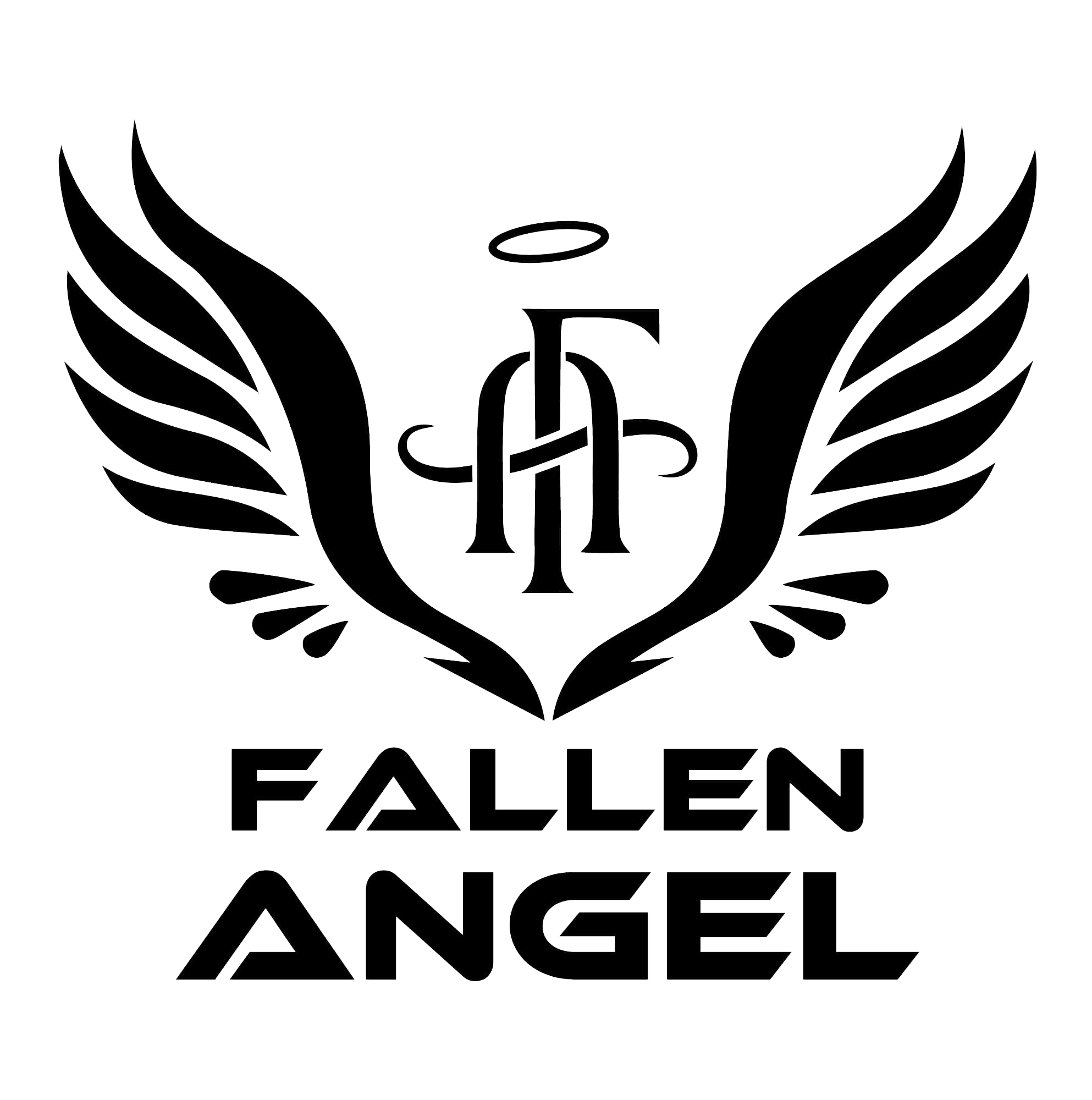 Fallen Angel Detailing Products